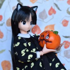 Черная кошка, которая приносит удачу