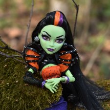 Лесные картинки