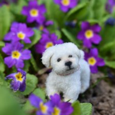 Наконец-то полноценная весна!