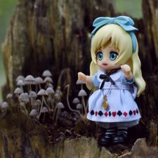 Алиса в лесу