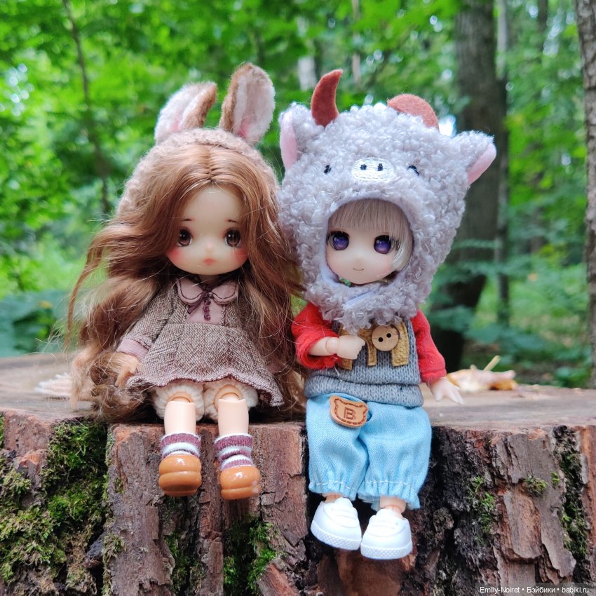 Кукольная прогулка — Коллекции шарнирных (фото 10)