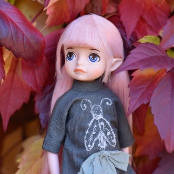 Осень Фелисити