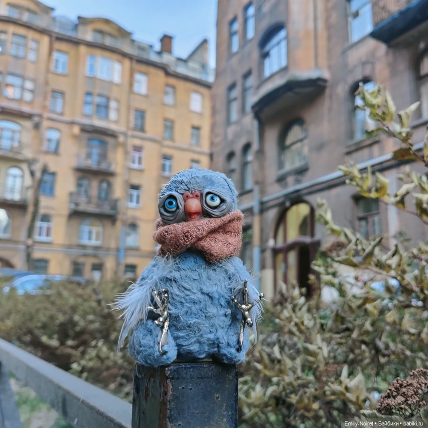 Морозный Петербург — Туризм и путешествия: фотоотчеты из поездок (фото 2)