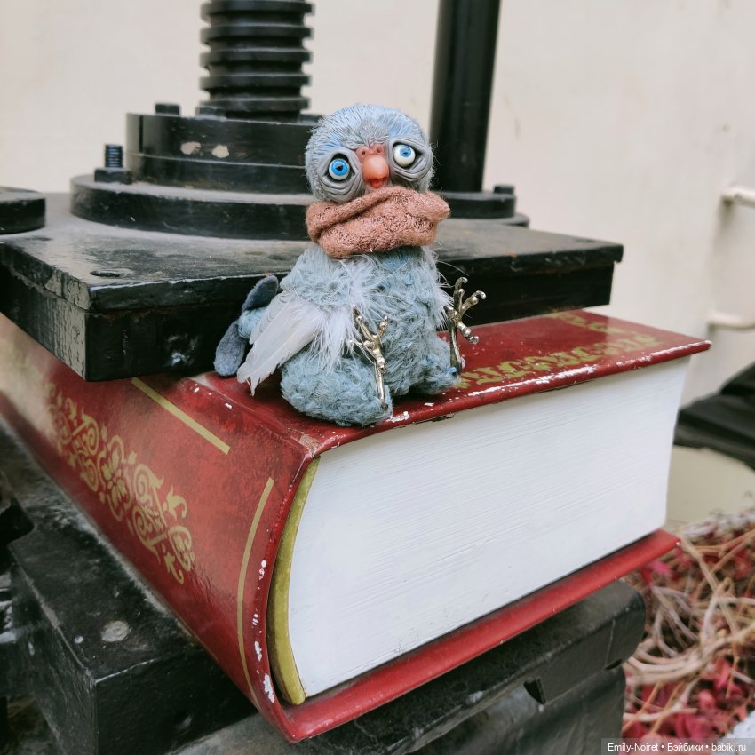 Морозный Петербург — Туризм и путешествия: фотоотчеты из поездок