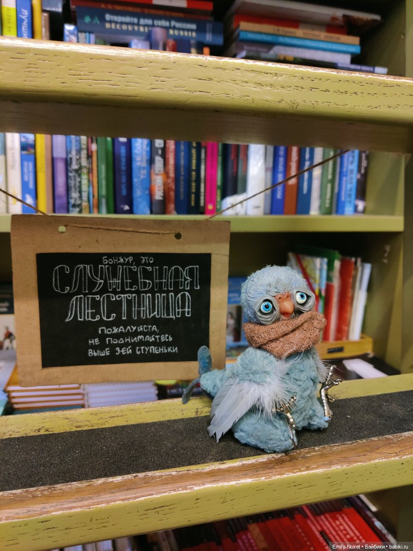 Морозный Петербург — Туризм и путешествия: фотоотчеты из поездок