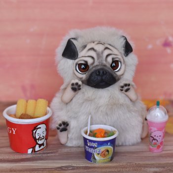 Угощение для мопсика