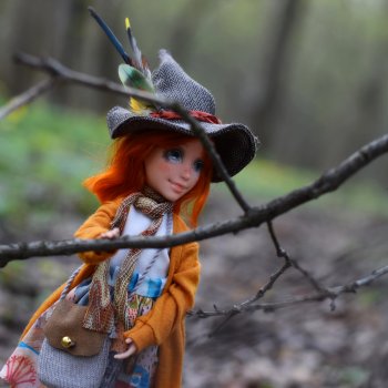 Робин в лесу