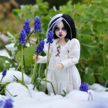 А у нас выпал снег