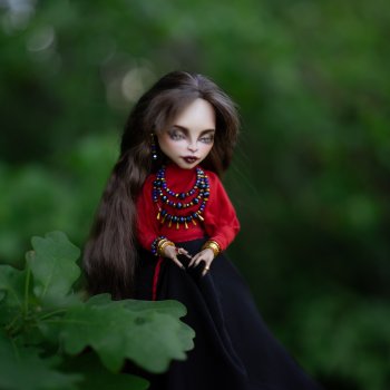 Сорока на закате