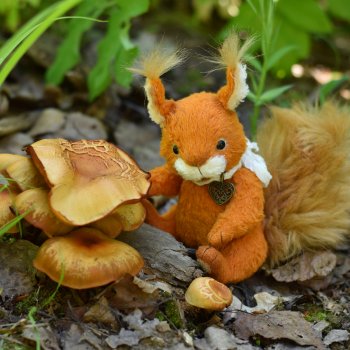 Цветы и грибы