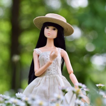 Утонченные дамы