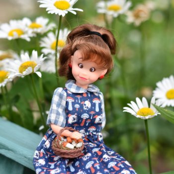 Грибочки-черепочки