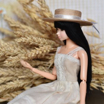 Пшеница и овес