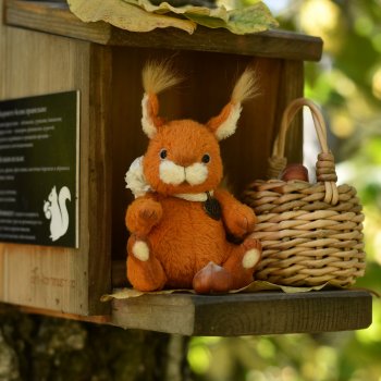 Белка и орехи