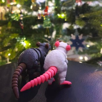 Подружка для Пита