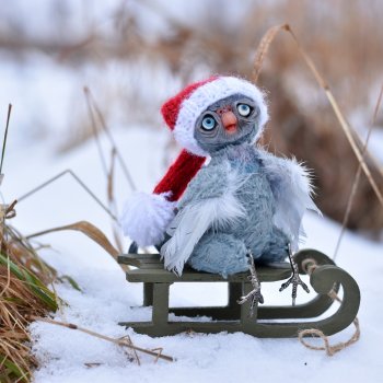 Фото-подборка: Санки