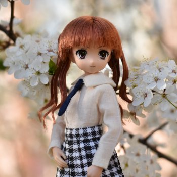 Фото-подборка: Первая вишня