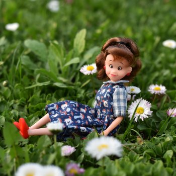 Фото-подборка: Вечерняя прогулка