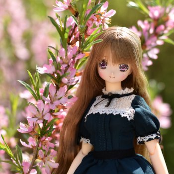 Фото-подборка: Весенние прогулки