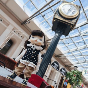 Питер в картинках