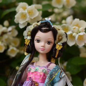 Фото-подборка: Жасмин во время дождя