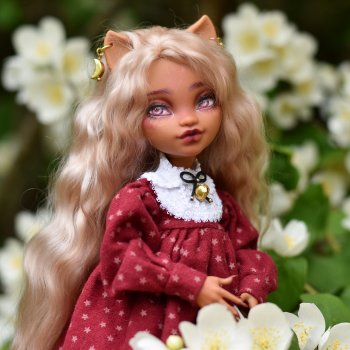 Фото-подборка: Опять жасмин