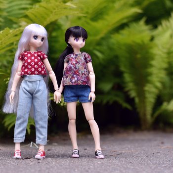 Летняя дружба