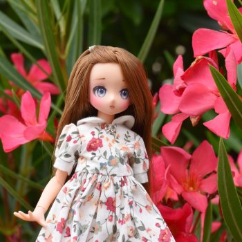 Лето в Москве: Птичка