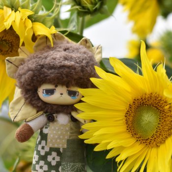 Подсолнушек