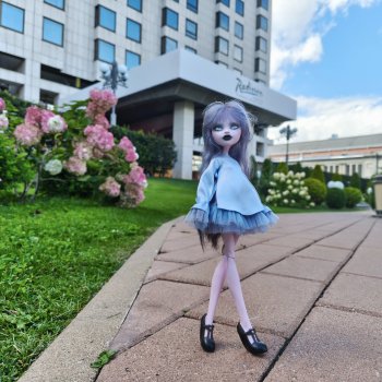 Doll Market (бонус)