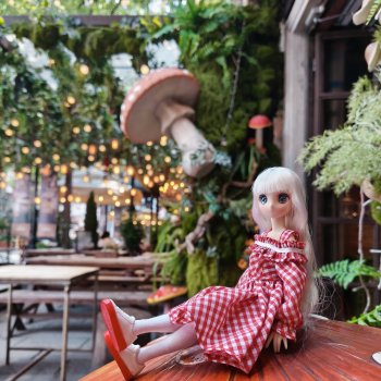 Шанхайский полдень: Французские домики