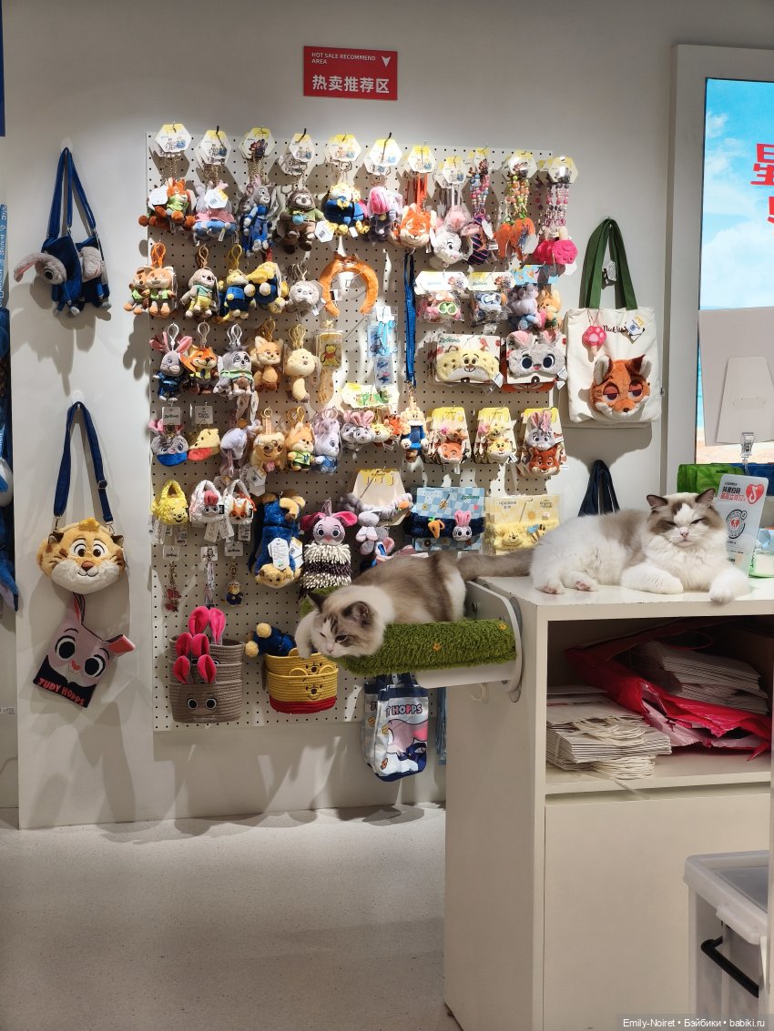 Шанхайский полдень: Пора домой