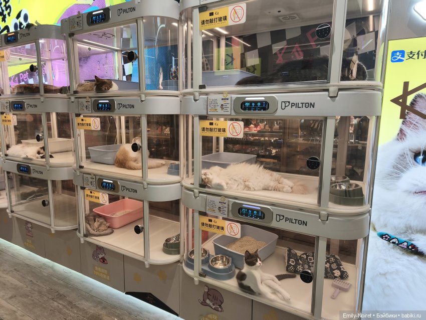 Шанхайский полдень: Пора домой (фото 10)