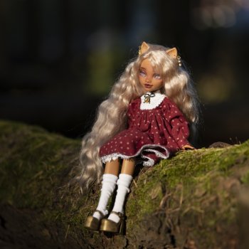 Осенний вечер