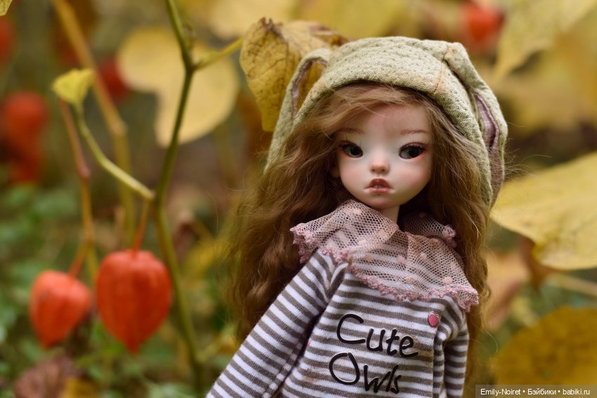 Покупки с выставки — Домашние коллекции кукол: фото собраний (фото 8)