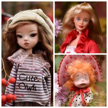 Покупки с выставки