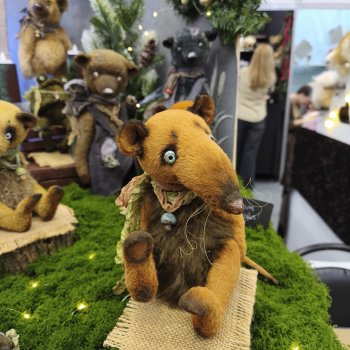 Hello Teddy 2025 (часть 1)