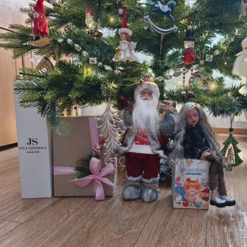 Что принес Дед Мороз?