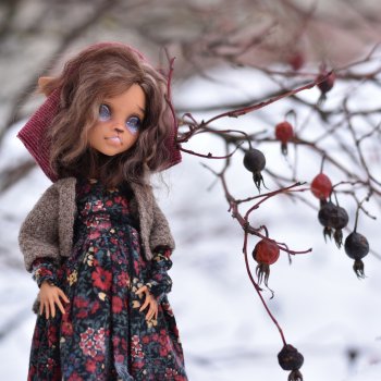 Зверёк замёрз