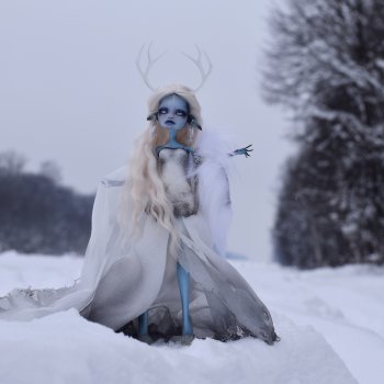 Ледяные просторы