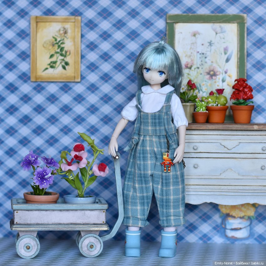 Куклы Azone (Азон) и тела Pure Neemo: фото