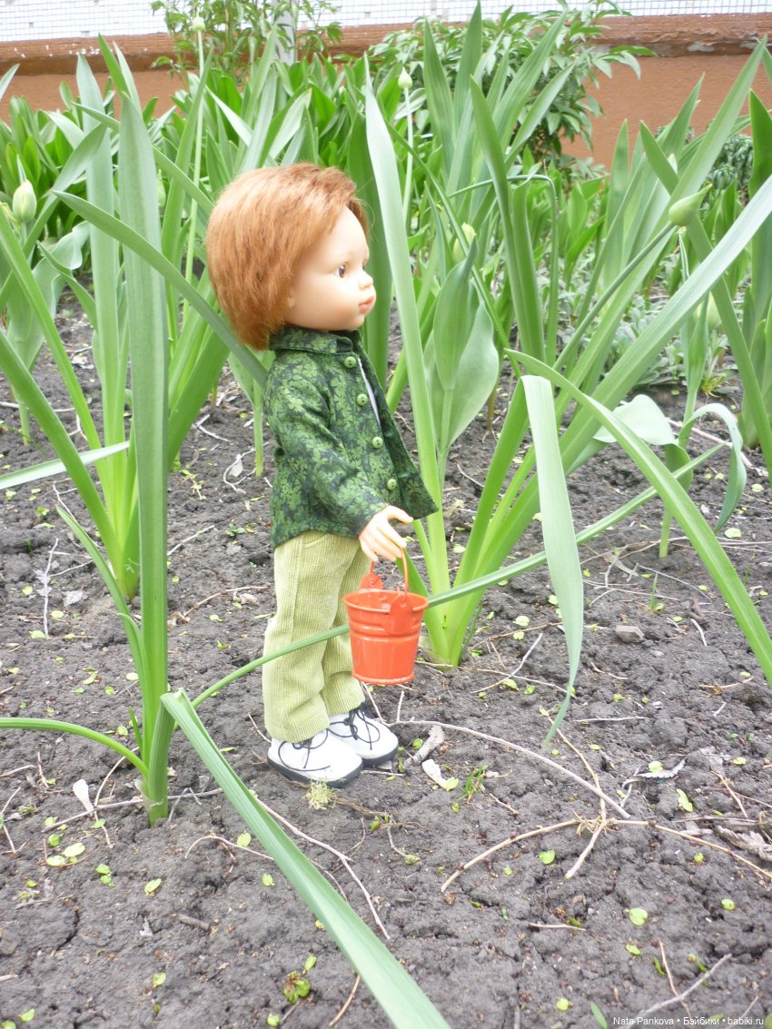 Любовь-морковь и клумба цветов (фото 3)