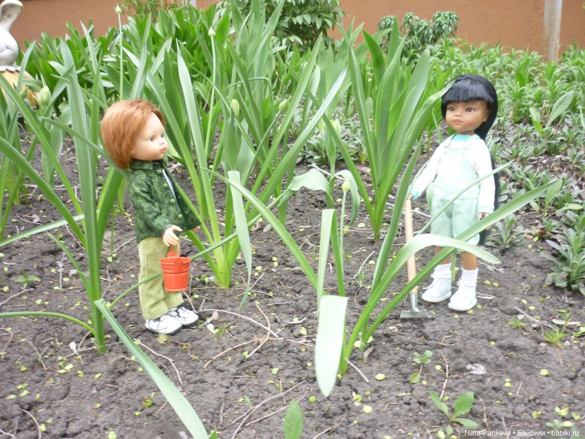 Любовь-морковь и клумба цветов (фото 2)