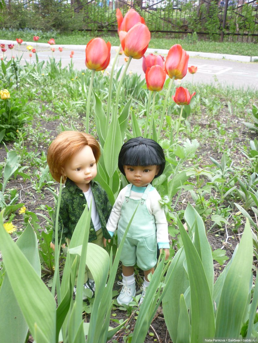 Любовь-морковь и клумба цветов (фото 7)