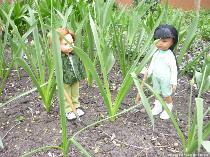 Любовь-морковь и клумба цветов