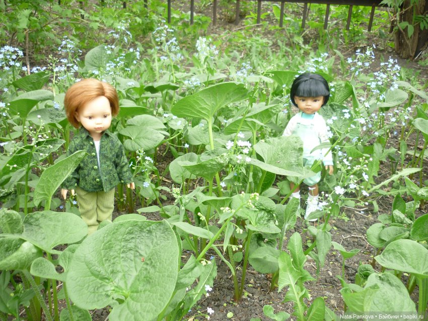 Любовь-морковь и клумба цветов (фото 8)