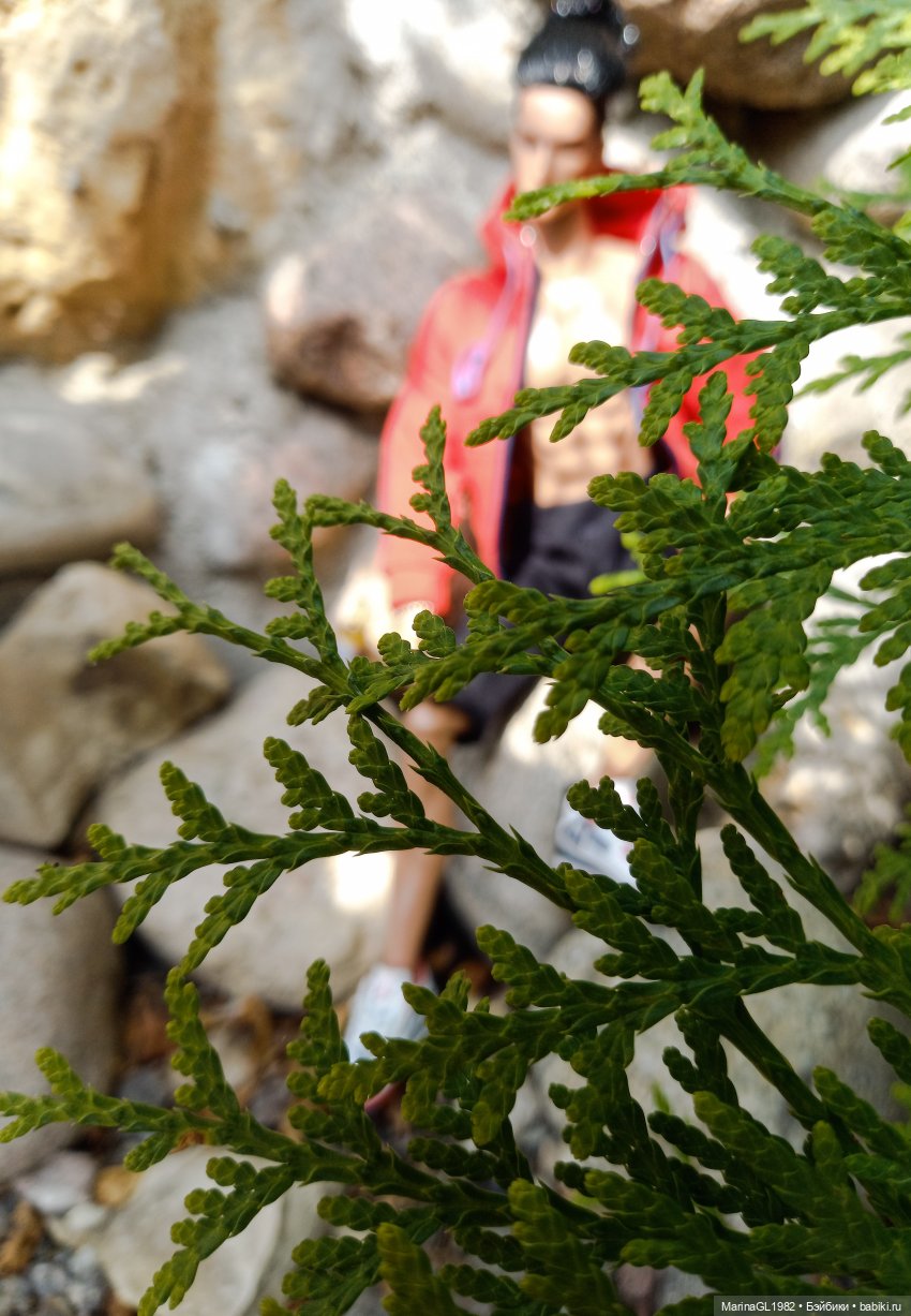 Кроссовки и пиво | Бэйбики Кроссовки и пиво — Игровые куклы разных производителей (Разное): редкие бренды