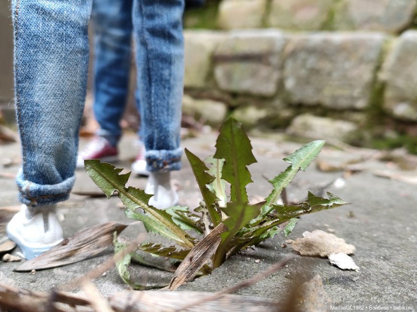 Улыбочку | Бэйбики Улыбочку — Куклы Barbie (Барби): Looks