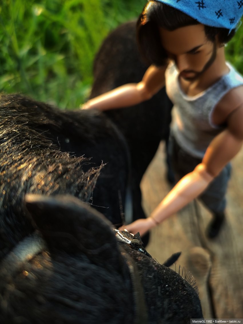 Ромушка и Вранушка — Куклы Integrity Toys (Интегрити): Poppy Parker