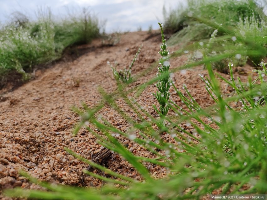 Вечерний моцион — Куклы Integrity Toys (Интегрити): Poppy Parker